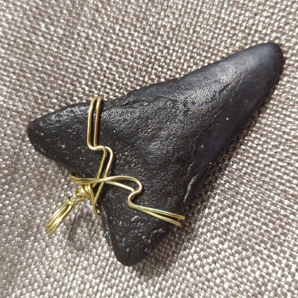Megalodon Shark Tooth 2.85 Inches Comes With Frame And Removable Wire Wrap. - Picture 5 of 6